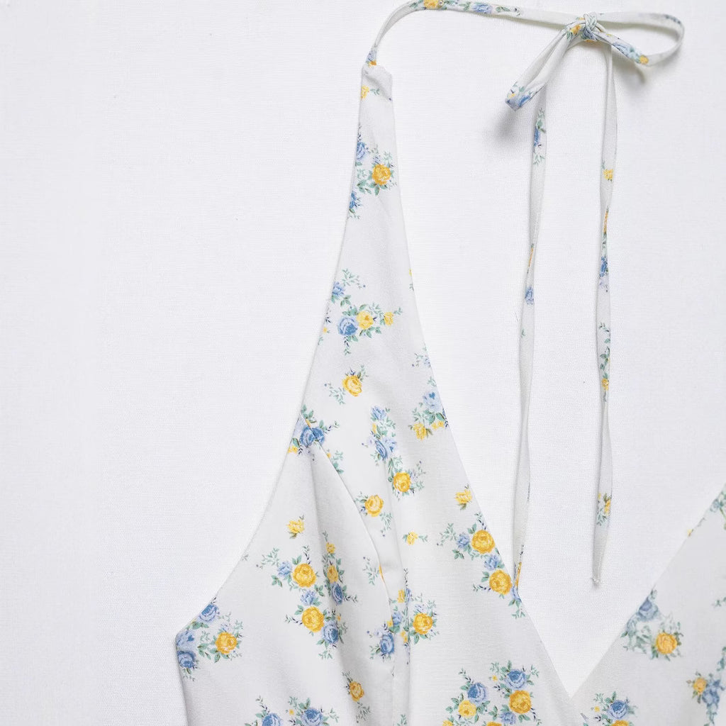 Backless hanging neck lace up printed dress for women