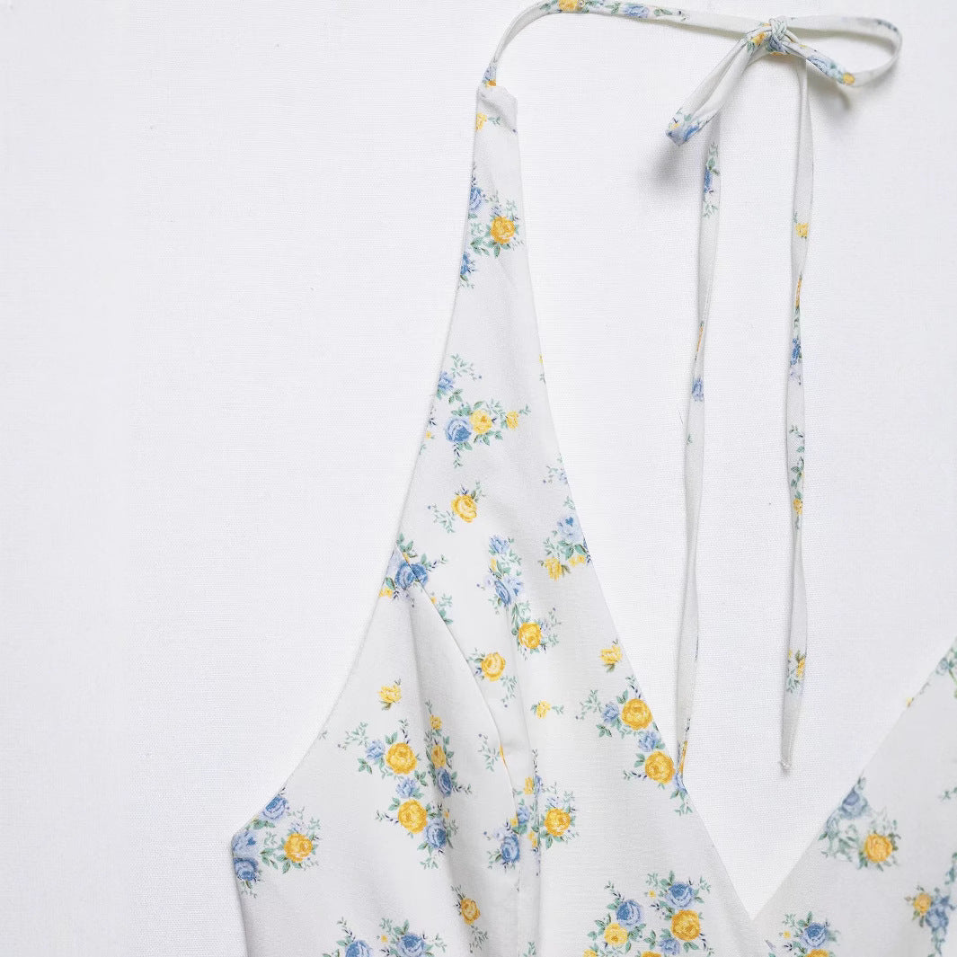 Backless hanging neck lace up printed dress for women